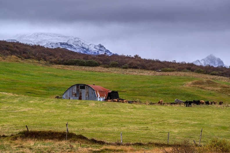 Ферма в Исландия