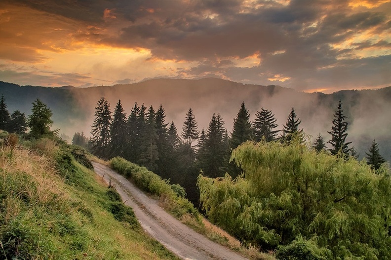 Път в Родопите